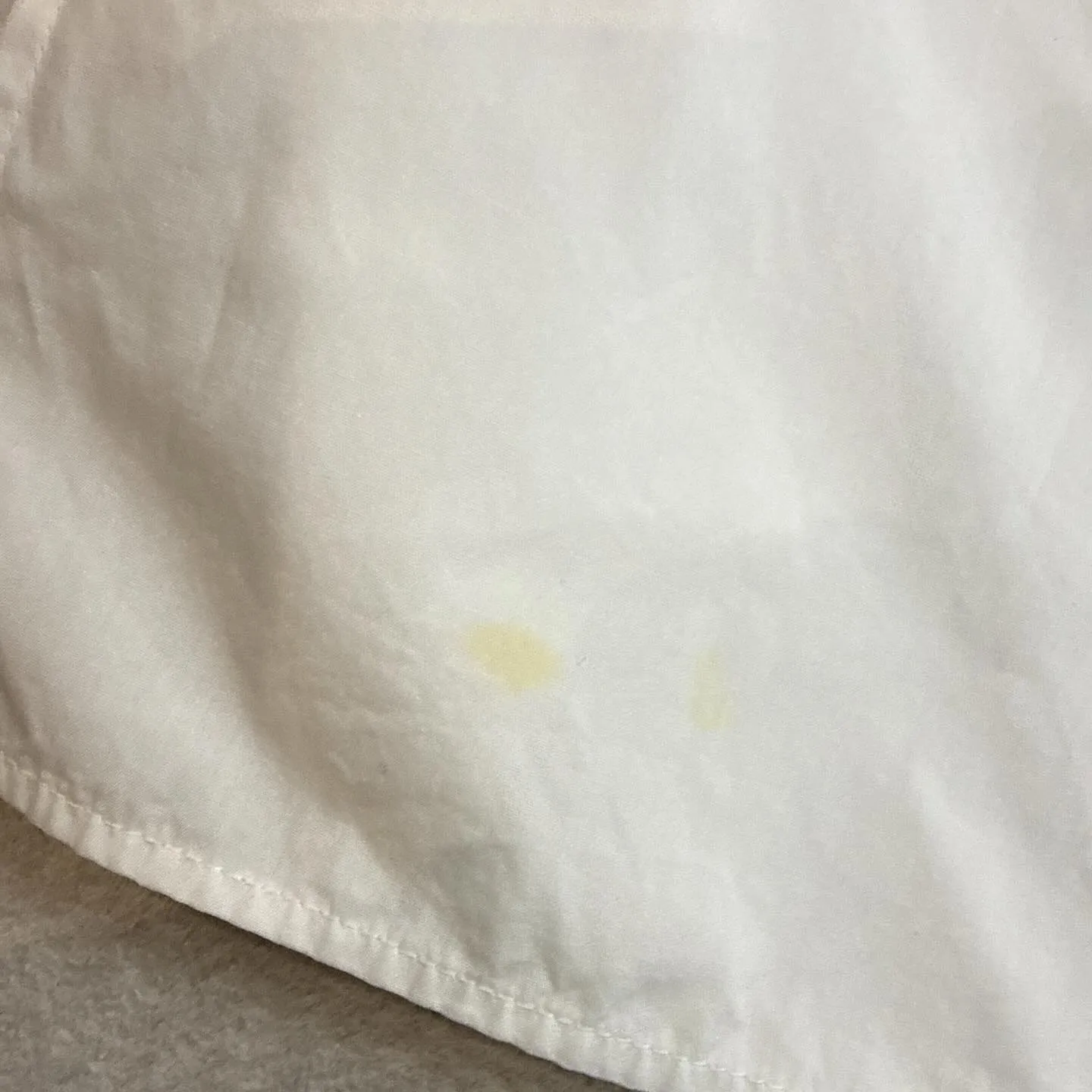本日、
