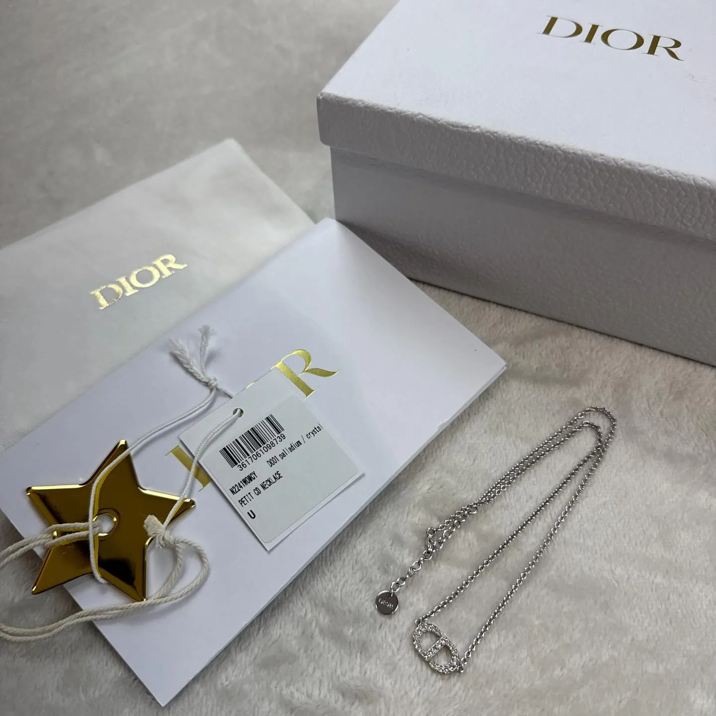 激レアのステューシー×ディオールの